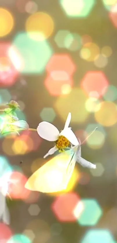 Vibrant bokeh wallpaper with butterfly on flower.