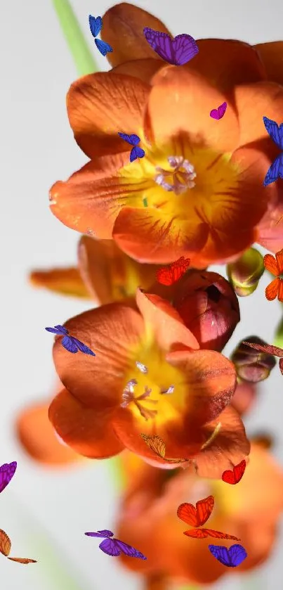 Orange flowers with colorful butterflies fluttering around.