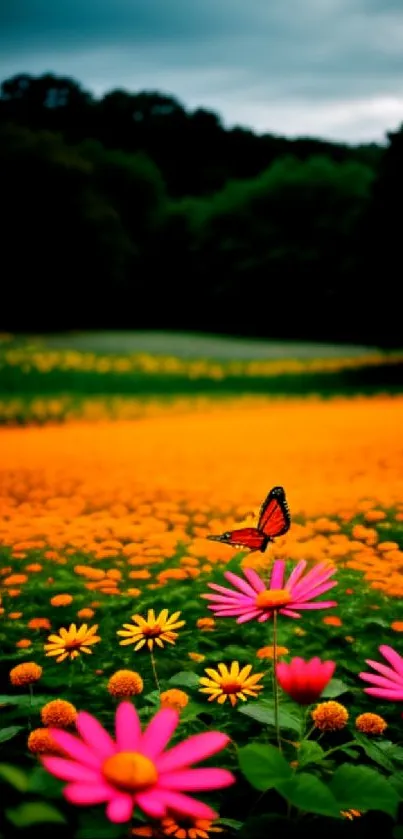 Vibrant field with orange and pink flowers and a butterfly.