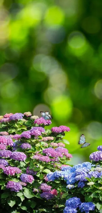 Colorful hydrangeas and butterflies in a vibrant garden scene.