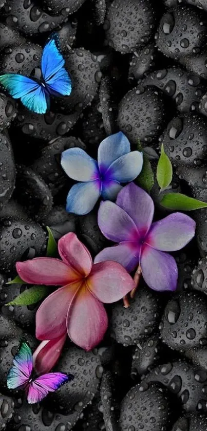 Vibrant flowers and butterflies on sleek black stones wallpaper.