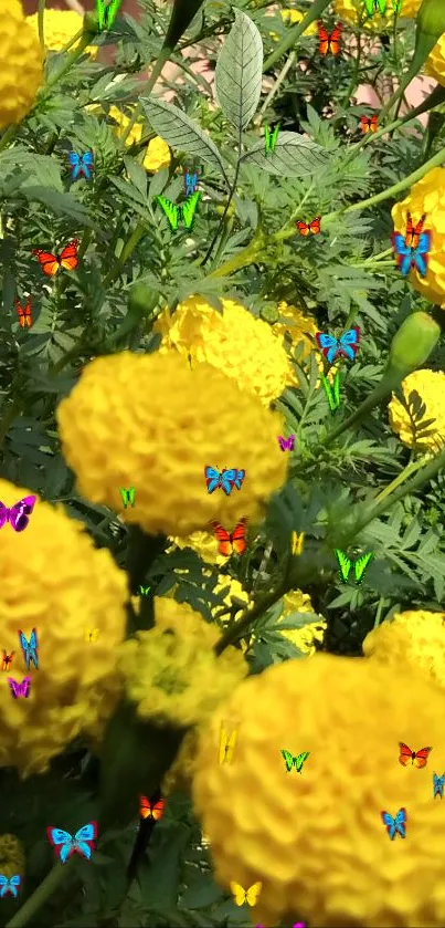 Yellow marigold flowers with colorful butterflies in a vibrant wallpaper.