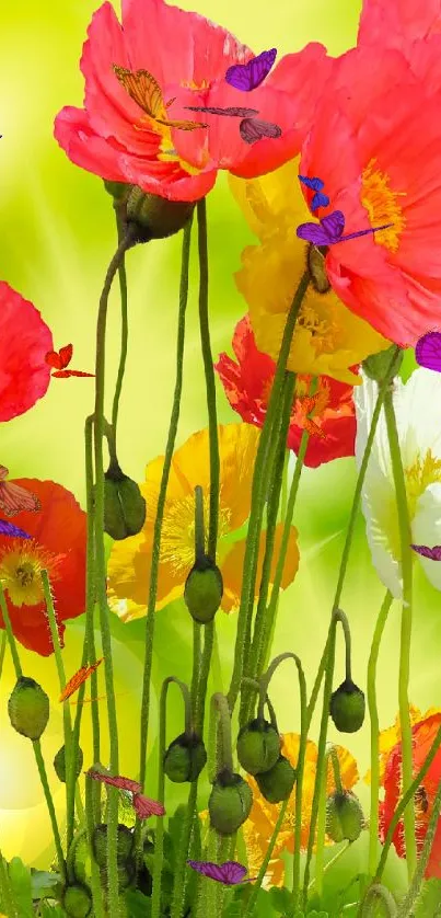 Vibrant red and yellow flowers with butterflies against a lime green background.