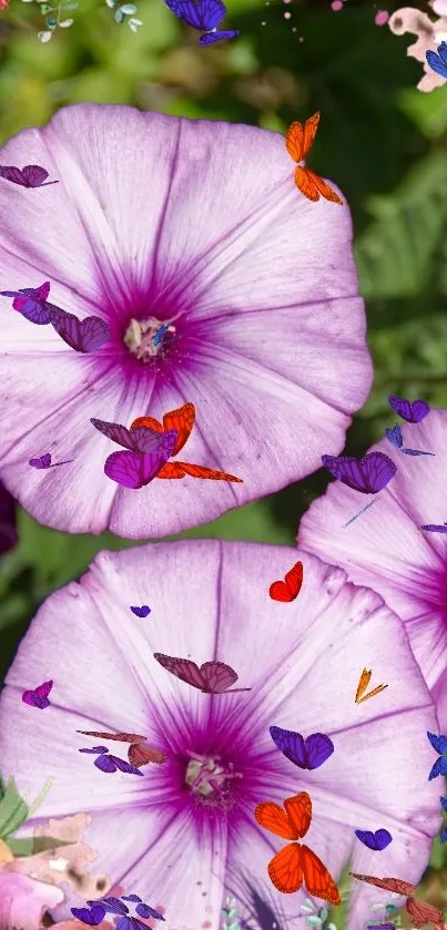Purple flowers with colorful butterflies in a vibrant, nature-inspired wallpaper.