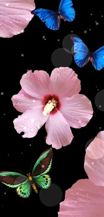 Pink flowers with butterflies on a black background mobile wallpaper.