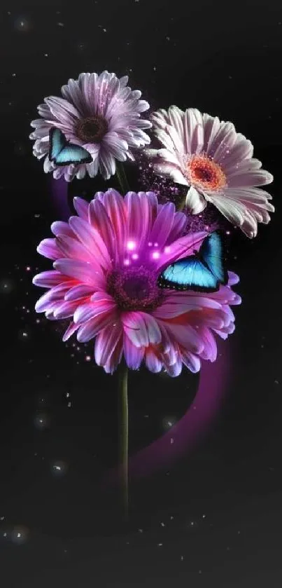 Purple flowers with blue butterflies on a black background.