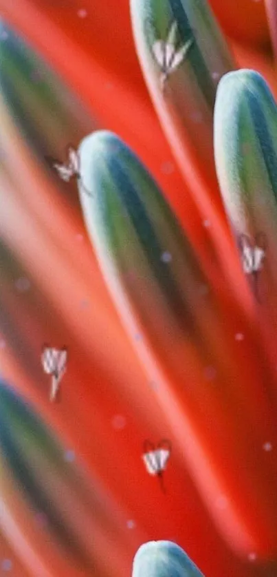 Close-up of vibrant red flower petals with artistic detail.