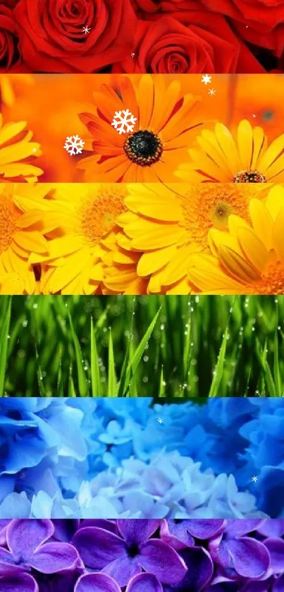 Vibrant stripes of colorful flowers including red, orange, yellow, green, blue, and purple.