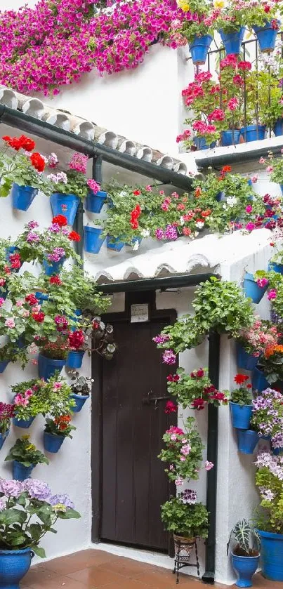 Vibrant courtyard with colorful potted flowers on white walls.