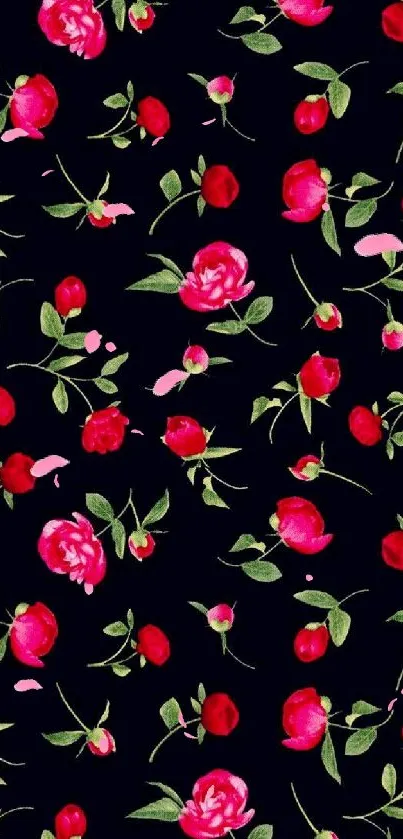 Dark phone wallpaper with red roses on black background.