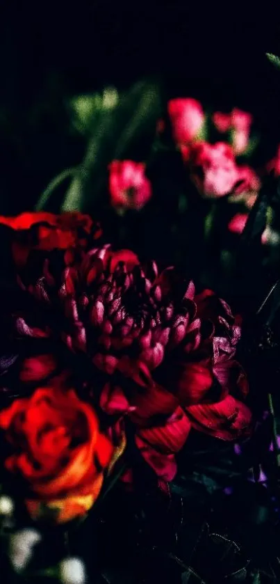 Vibrant red and orange flowers on dark background wallpaper.