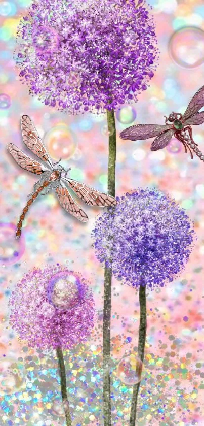 Purple alliums with dragonflies on bokeh background wallpaper.