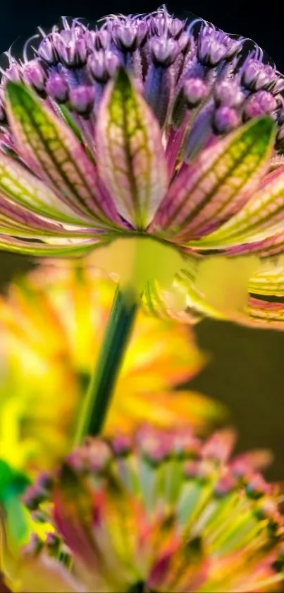 Vibrant and colorful floral painting showcasing stunning detailed petals.