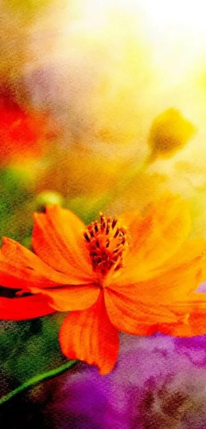 Vibrant orange flower on colorful abstract background.