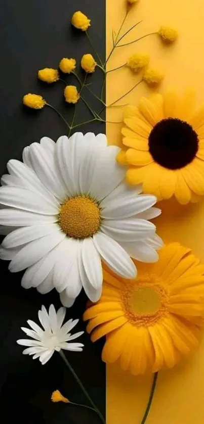 Colorful daisies with a yellow and black background design.