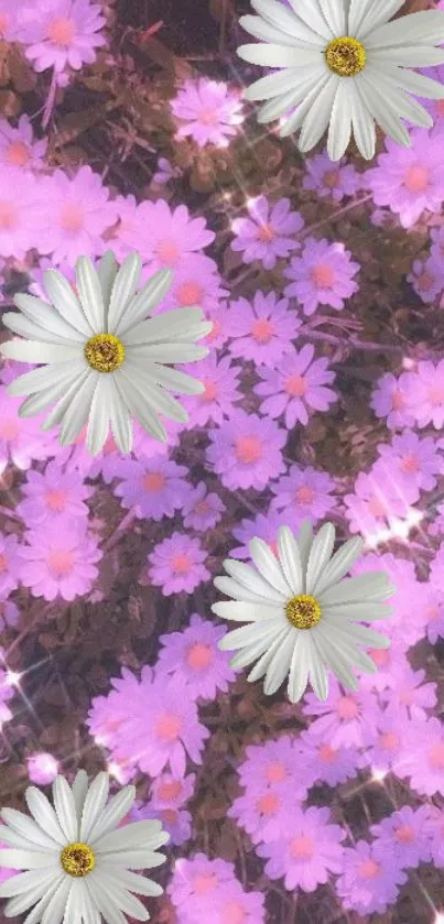 Mobile wallpaper with daisies over purple flowers.