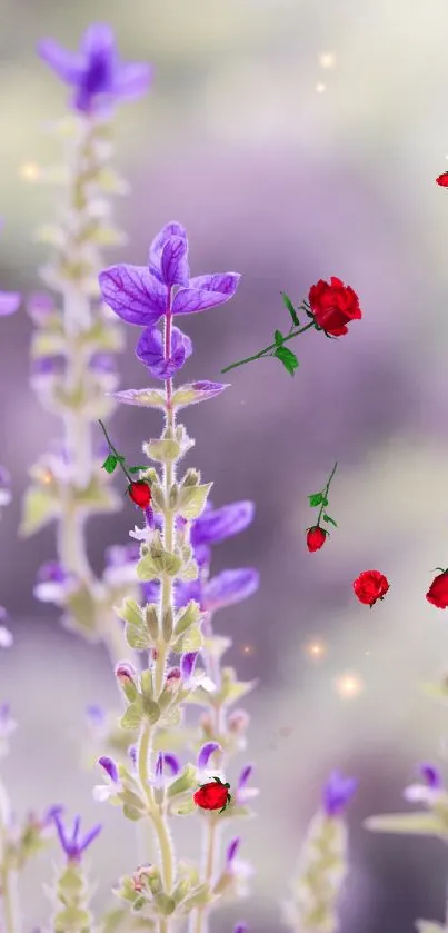 Lavender flowers with floating red roses on a blurred background.