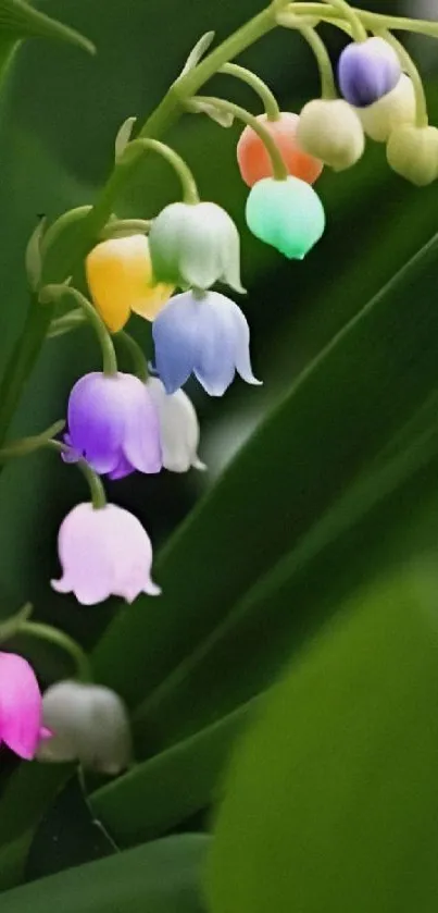 Colorful glowing flowers amid lush green leaves.