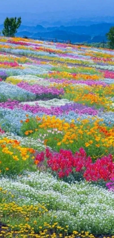 Colorful flower meadow with vibrant blooms.