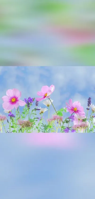 Vibrant wildflowers on a light blue sky background for mobile wallpaper.