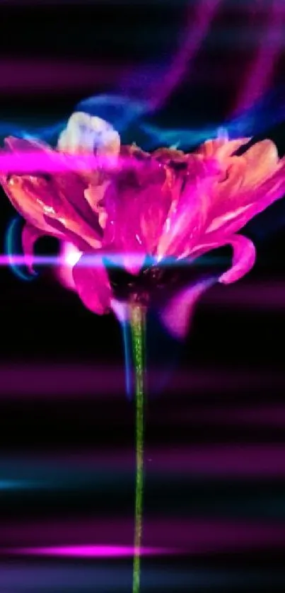 Vibrant pink flower surrounded by blue flames on a dark background.