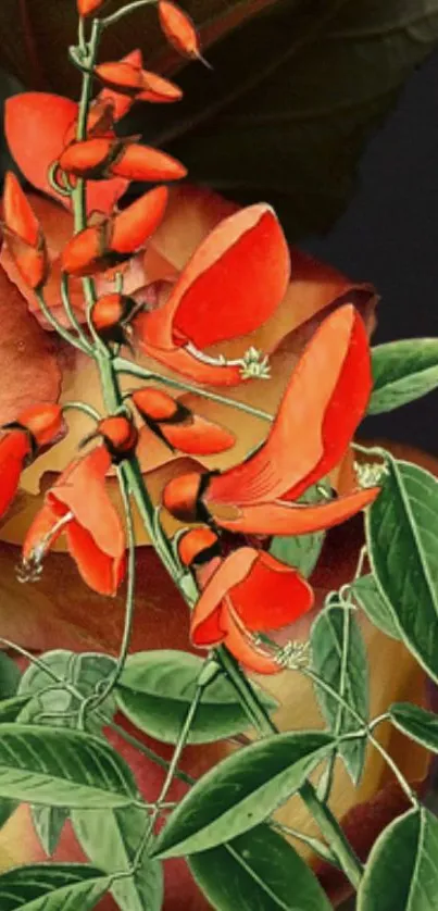 Vibrant red flowers with green leaves on a dark background.