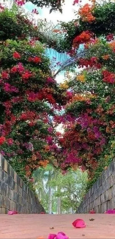 Vibrant garden pathway with colorful flowers forming an arch.