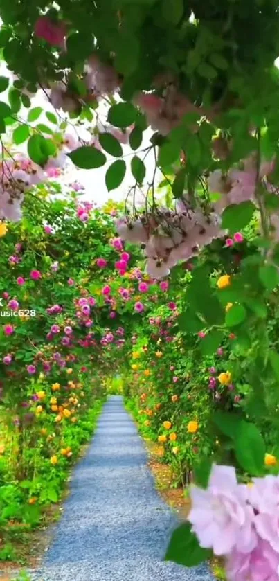 Vibrant garden pathway with colorful flowers creating a stunning mobile wallpaper.