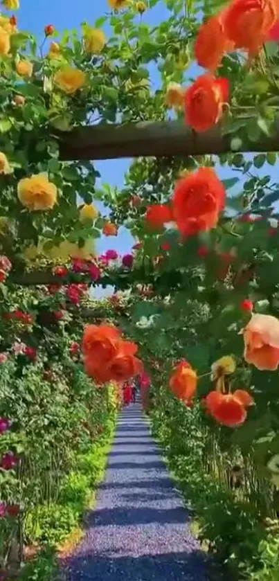 Beautiful garden pathway with vibrant flowers overhead.