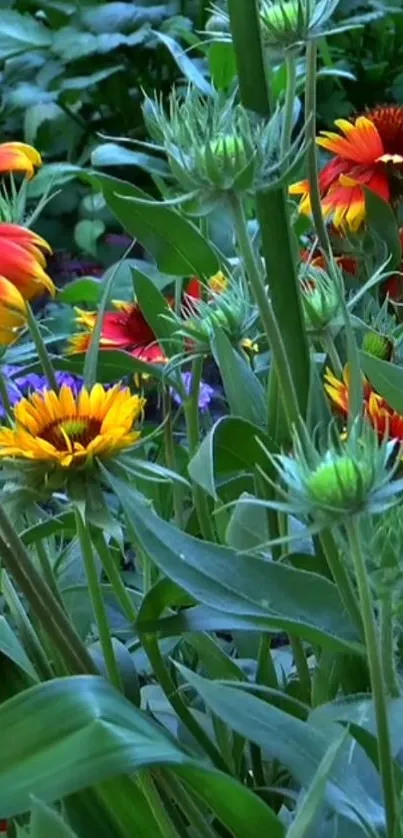 Vibrant flowers blooming in a green garden.