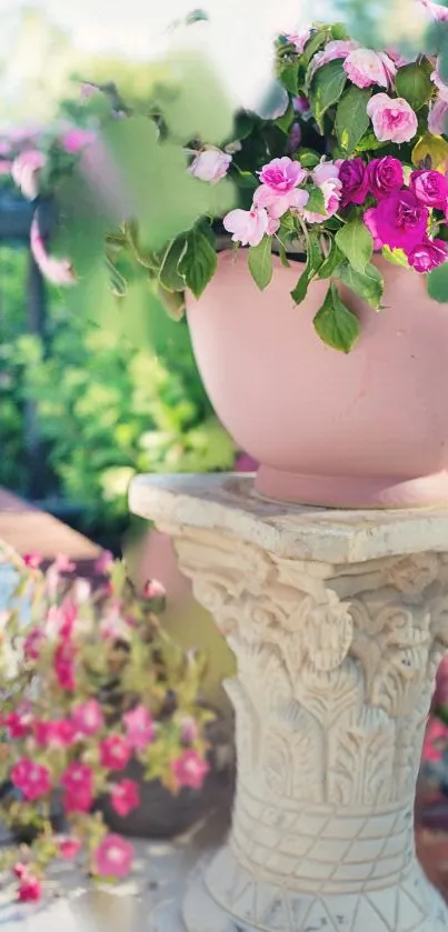 Pink flowers in a pot in a sunny garden setting.