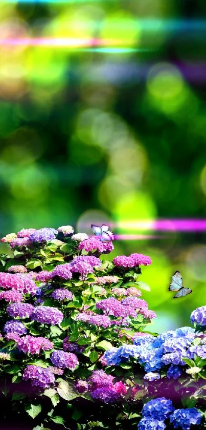 Colorful hydrangeas and butterflies in a vibrant garden setting.