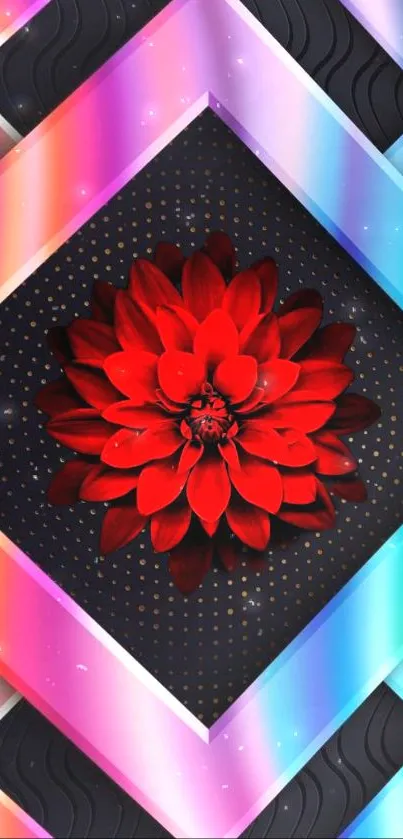 Vibrant red flower with geometric rainbow patterns on a dark background.