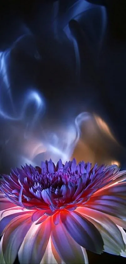 Vibrant flower with glowing petals on dark background.