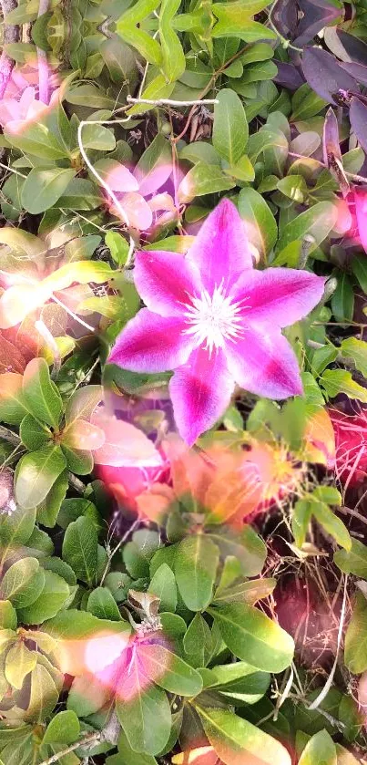 Pink flower and lush green leaves in vibrant floral wallpaper.