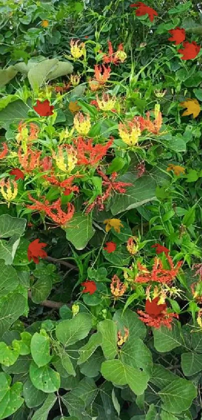 Green leaves with red and yellow flowers creating a lush wallpaper design.