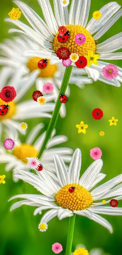 Vibrant wallpaper of daisies with ladybugs and colorful flowers.