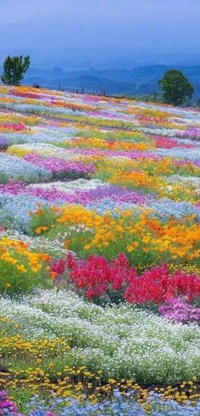 A vivid landscape with colorful flower fields and a serene blue sky.