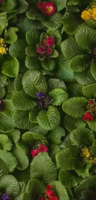 Green leafy background with colorful flowers.