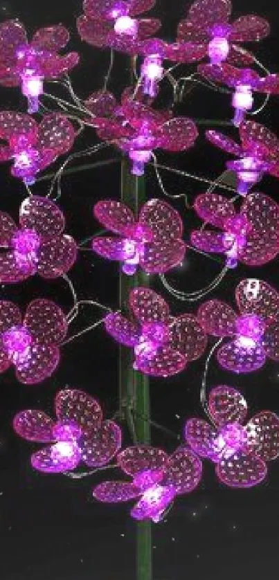 Vibrant glowing pink LED flowers on a dark background wallpaper.