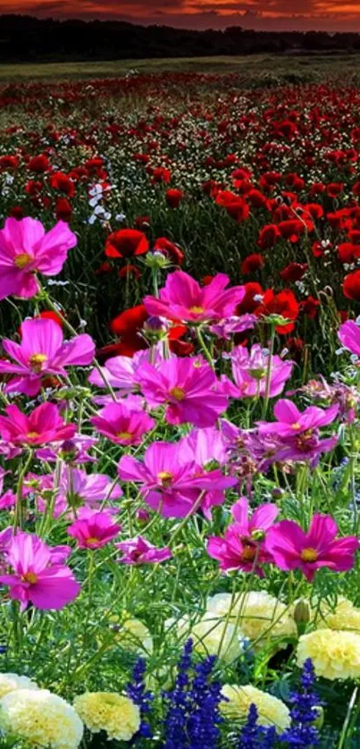 Vibrant meadow with pink and red flowers under a sunset sky.