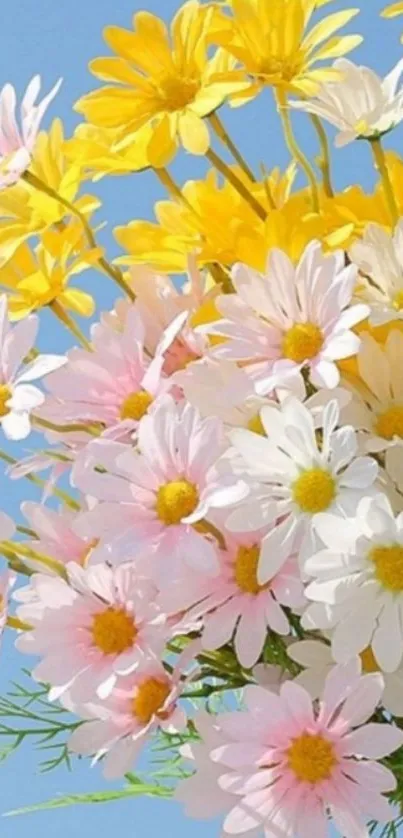 Vibrant yellow and pink flowers with blue sky background.