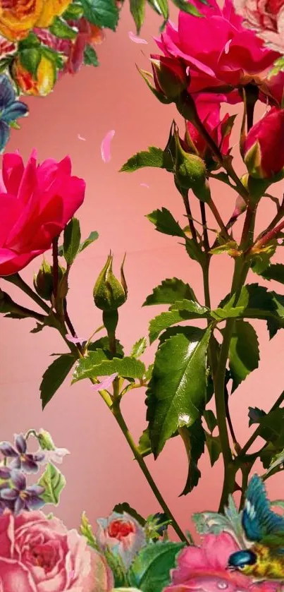 Vibrant floral wallpaper with pink roses and colorful surrounding flowers.