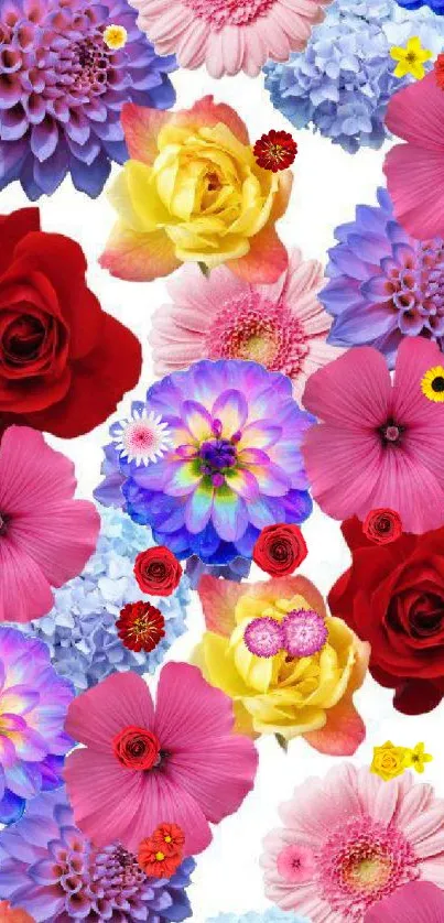 Vibrant mobile wallpaper featuring colorful flowers including roses and daisies.