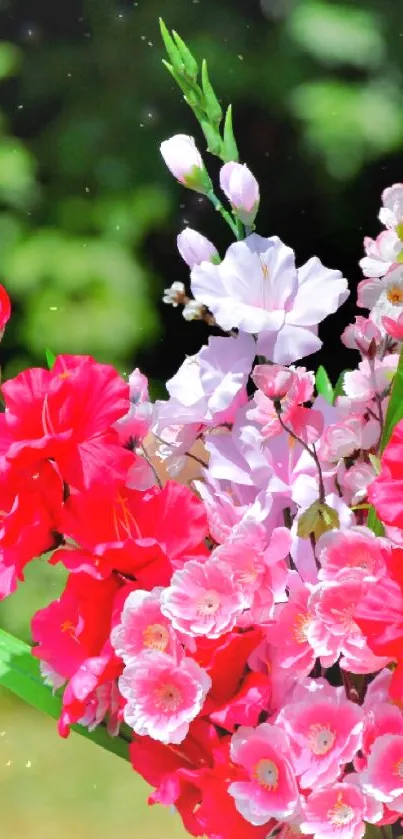 Vibrant red and pink flower bouquet with green background.