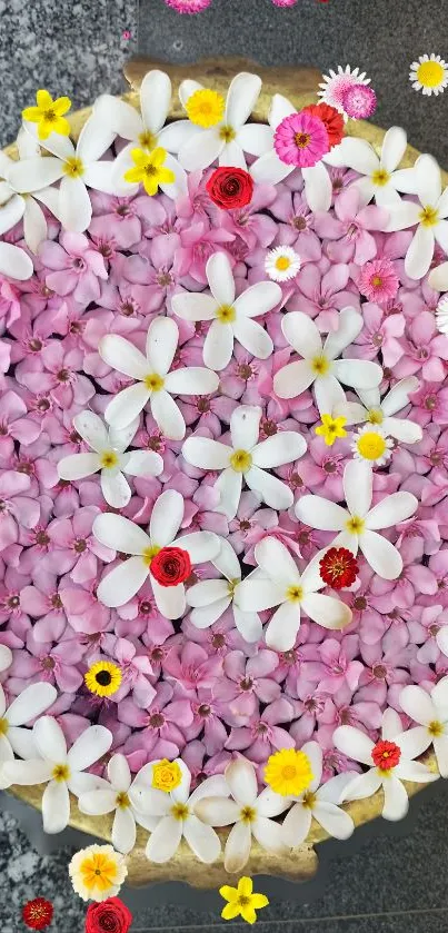 Vibrant floral wallpaper with pink, white, and yellow flowers.