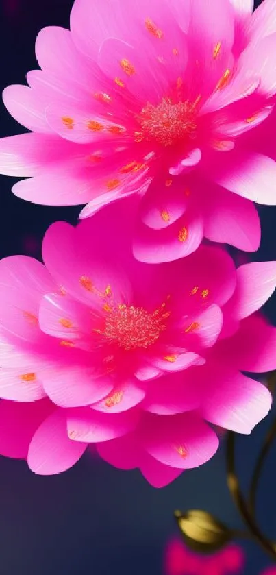 Vibrant pink flower mobile wallpaper with dark background.