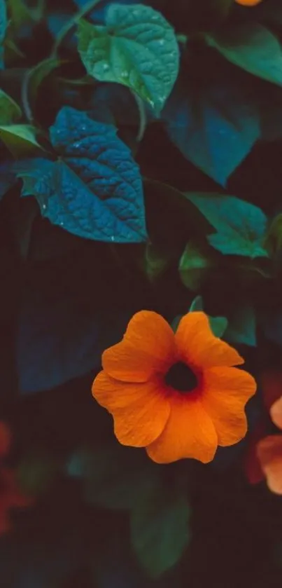 Elegant orange flowers with deep green leaves background.