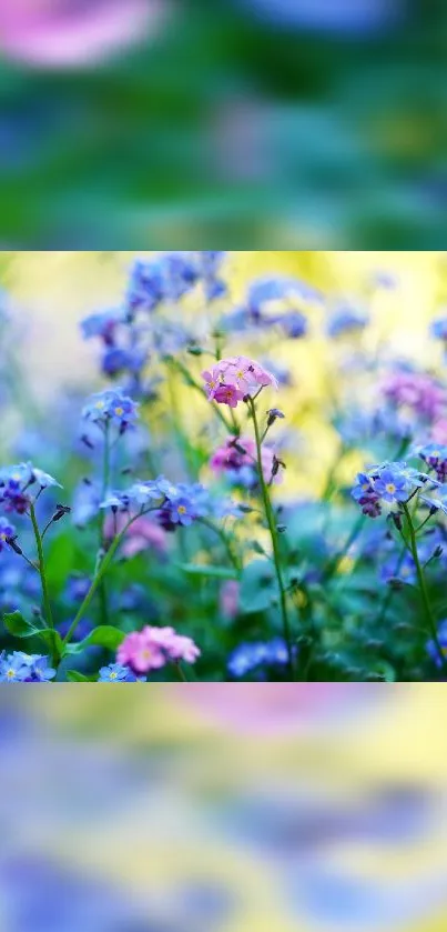 Colorful floral wallpaper with pink and purple blooms in a green garden setting.