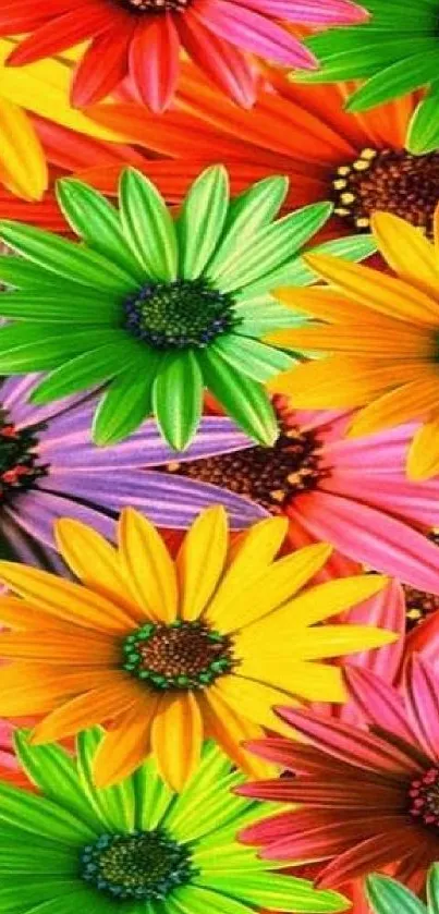 Vibrant and colorful flowers mobile wallpaper with a nature theme.